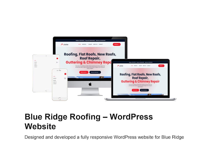 do custom modern business website development